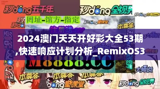 2024澳门天天开好彩大全53期,快速响应计划分析_RemixOS3.554