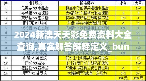 2024新澳天天彩免费资料大全查询,真实解答解释定义_bundle2.767