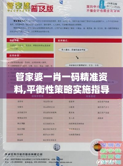 管家婆一肖一码精准资料,平衡性策略实施指导_DP6.953