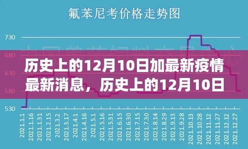 历史上的12月10日与疫情下的自然美景之旅，寻找内心平静的奇妙探险日