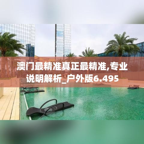 澳门最精准真正最精准,专业说明解析_户外版6.495