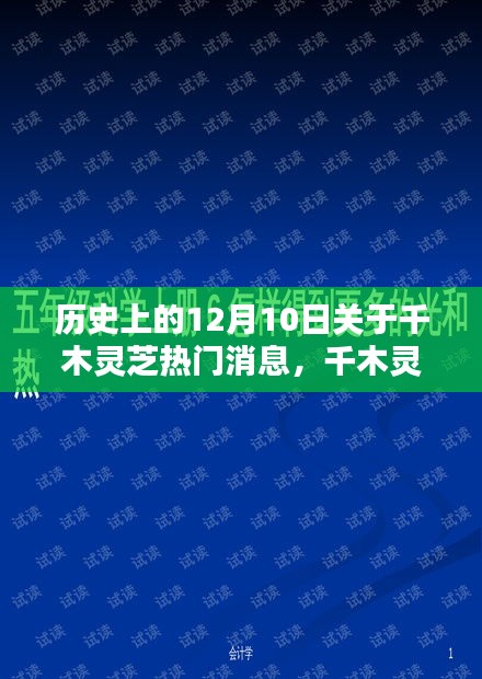 历史上的十二月十日，千木灵芝革新突破与科技盛宴深度解析