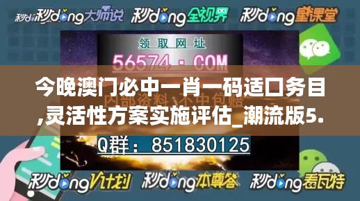 今晚澳门必中一肖一码适囗务目,灵活性方案实施评估_潮流版5.795