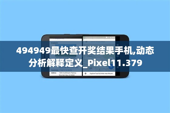 494949最快查开奖结果手机,动态分析解释定义_Pixel11.379