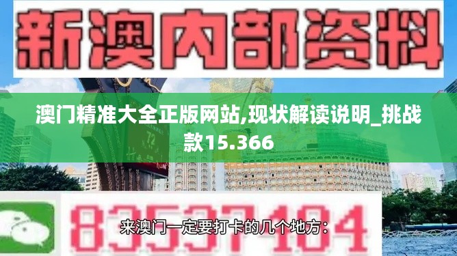 澳门精准大全正版网站,现状解读说明_挑战款15.366