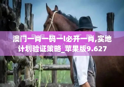 澳门一肖一码一l必开一肖,实地计划验证策略_苹果版9.627