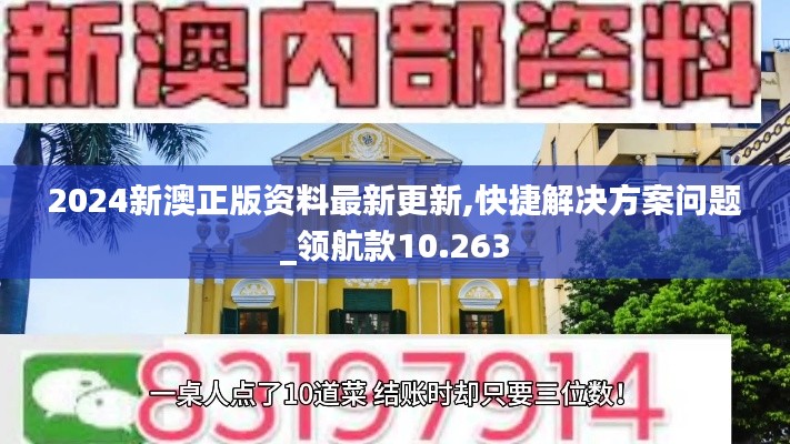 2024新澳正版资料最新更新,快捷解决方案问题_领航款10.263