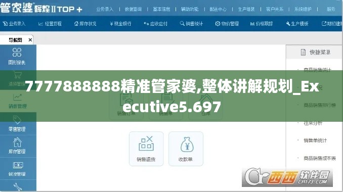 7777888888精准管家婆,整体讲解规划_Executive5.697