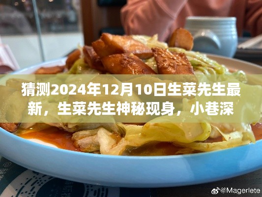 生菜先生神秘现身，2024年美食探险之旅最新爆料，小巷深处的惊喜体验