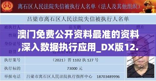 澳门免费公开资料最准的资料,深入数据执行应用_DX版12.763