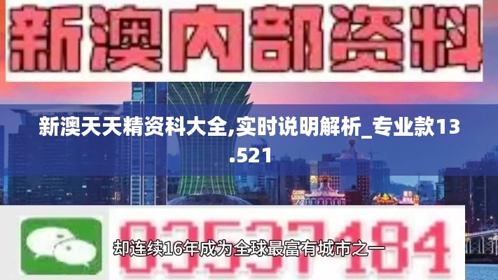 新澳天天精资科大全,实时说明解析_专业款13.521