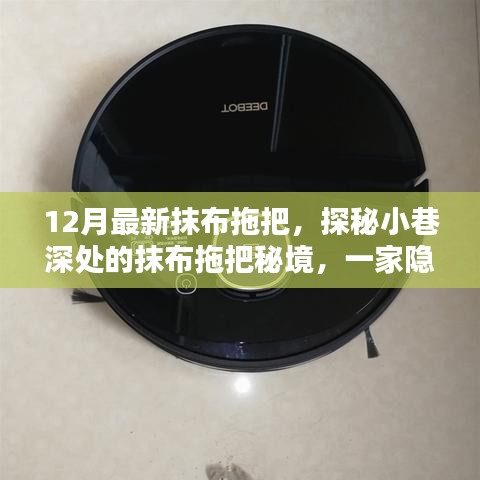 探秘繁华小巷的独家抹布拖把秘境，独特小店的秘密武器