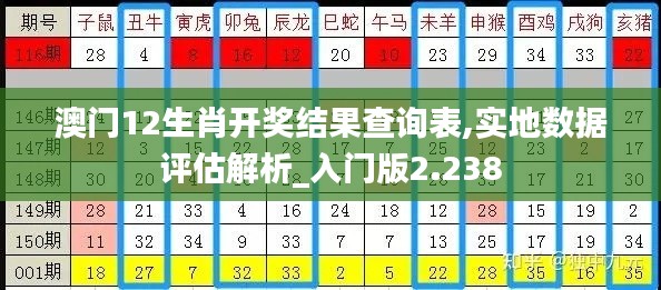 澳门12生肖开奖结果查询表,实地数据评估解析_入门版2.238