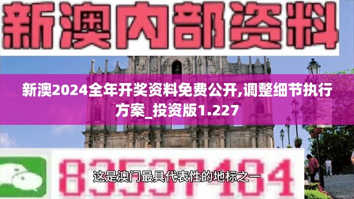 新澳2024全年开奖资料免费公开,调整细节执行方案_投资版1.227