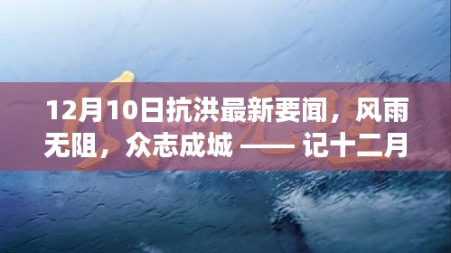 风雨无阻，众志成城，十二月十日抗洪最新进展与影响