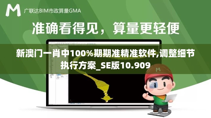 新澳门一肖中100%期期准精准软件,调整细节执行方案_SE版10.909