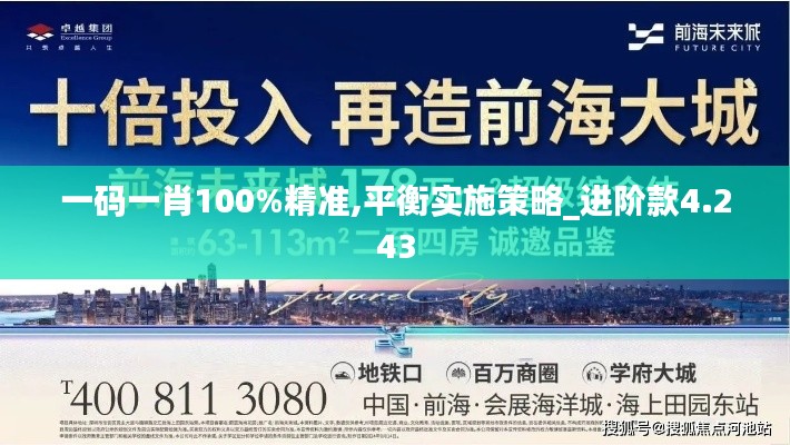 一码一肖100%精准,平衡实施策略_进阶款4.243