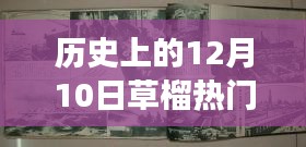 历史上的12月10日，心灵之旅的热门入口，探寻自然美景的奇妙之旅