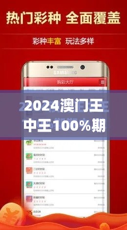 2024澳门王中王100%期期中,可靠性策略解析_黄金版9.245