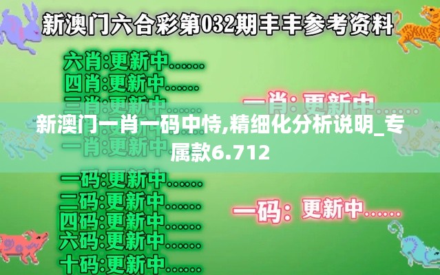 新澳门一肖一码中恃,精细化分析说明_专属款6.712