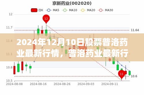 普洛药业最新行情展望，深度解析与观点（2024年12月10日股票行情）