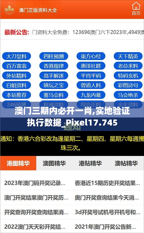 澳门三期内必开一肖,实地验证执行数据_Pixel17.745