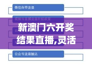 新澳门六开奖结果直播,灵活性方案解析_复刻款9.790