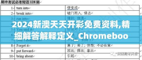 2024新澳天天开彩免费资料,精细解答解释定义_Chromebook5.589