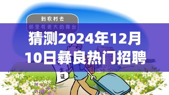 2024年12月11日 第27页