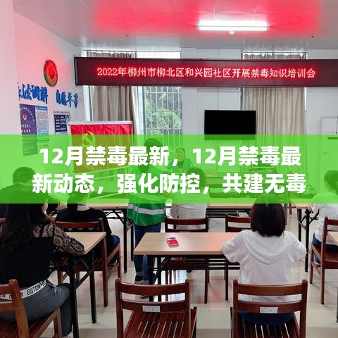 12月禁毒最新动态，强化防控，共建无毒社会的最新进展