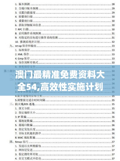 澳门最精准免费资料大全54,高效性实施计划解析_Notebook10.737