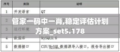 管家一码中一肖,稳定评估计划方案_set5.178