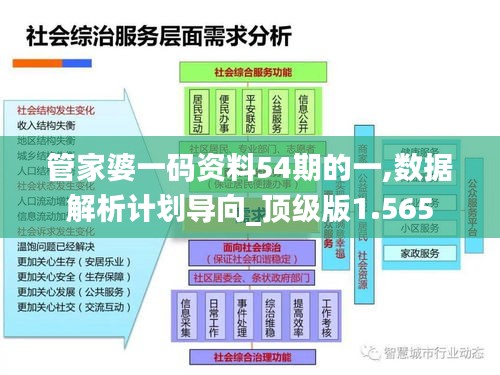 管家婆一码资料54期的一,数据解析计划导向_顶级版1.565