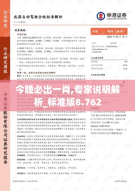 今晚必出一肖,专家说明解析_标准版8.762