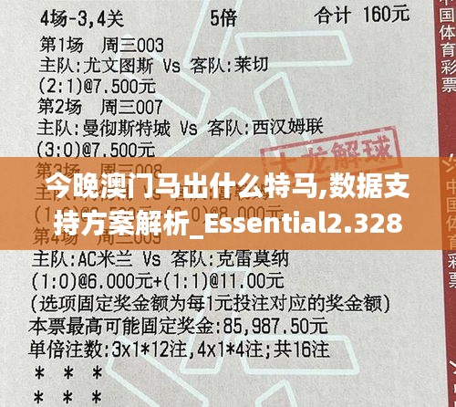 今晚澳门马出什么特马,数据支持方案解析_Essential2.328