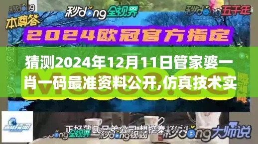 2024年12月11日 第8页