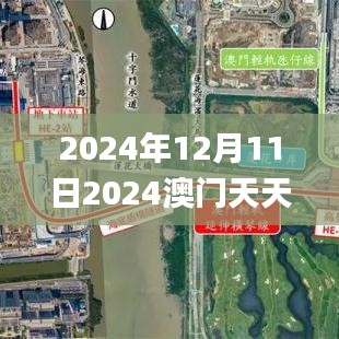 2024年12月11日2024澳门天天开好彩大全53期,深入数据执行解析_基础版2.671