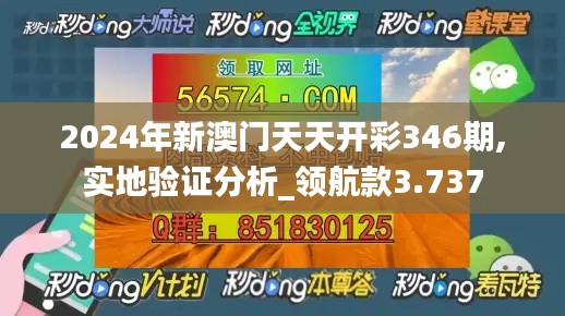 2024年新澳门天天开彩346期,实地验证分析_领航款3.737