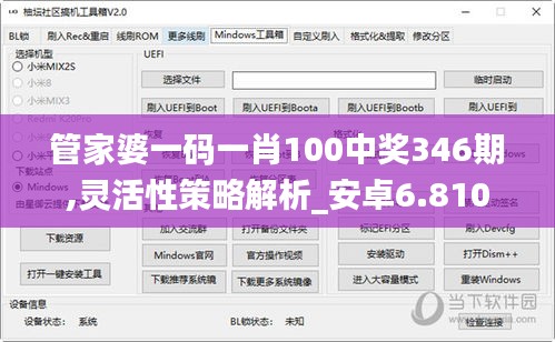 管家婆一码一肖100中奖346期,灵活性策略解析_安卓6.810