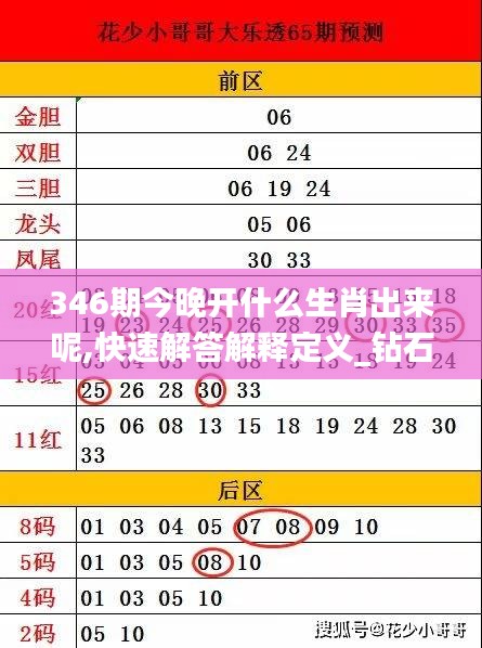 346期今晚开什么生肖出来呢,快速解答解释定义_钻石版6.329