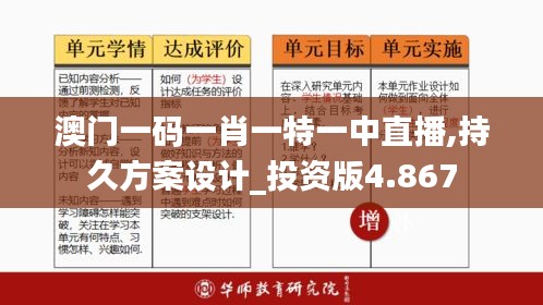 澳门一码一肖一特一中直播,持久方案设计_投资版4.867