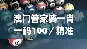 澳门管家婆一肖一码100／精准,实地执行分析数据_mShop2.676