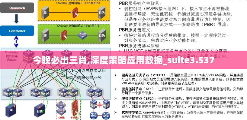 今晚必出三肖,深度策略应用数据_suite3.537