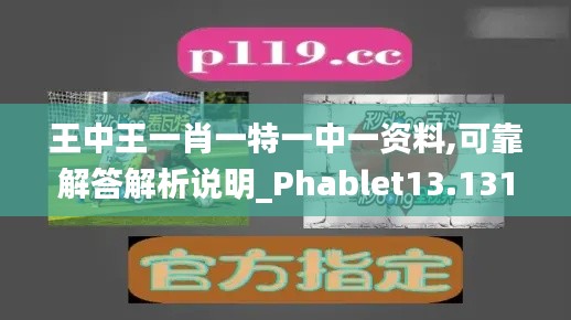 王中王一肖一特一中一资料,可靠解答解析说明_Phablet13.131