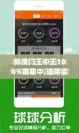 新澳门王中王100%期期中,适用实施策略_精英版6.634