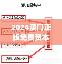 2024澳门正版免费资本图库,适用性策略设计_界面版10.621