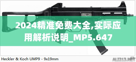 2024精准免费大全,实际应用解析说明_MP5.647