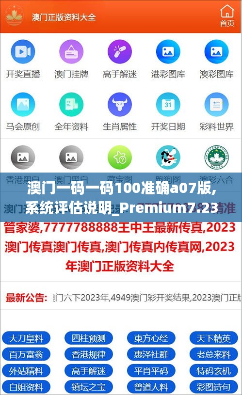 澳门一码一码100准确a07版,系统评估说明_Premium7.231