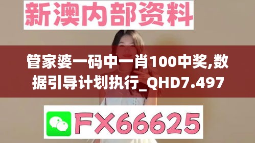 管家婆一码中一肖100中奖,数据引导计划执行_QHD7.497