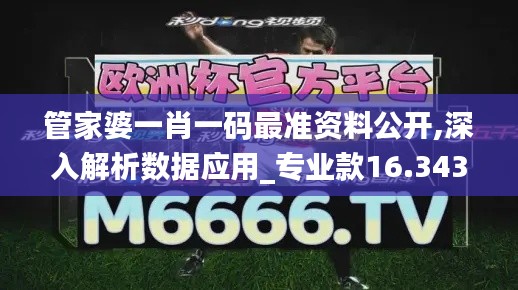 管家婆一肖一码最准资料公开,深入解析数据应用_专业款16.343